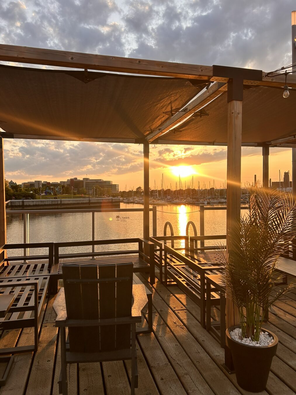 Coucher de soleil à l'Oasis