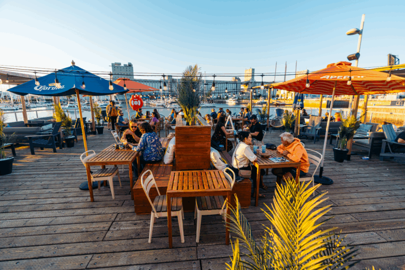 Vue d'ensemble de la terrasse arrière de l'oasis